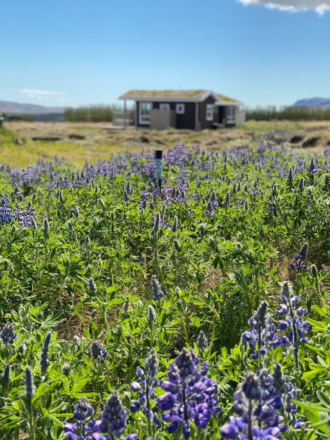 Blue View Cabin 5B With Private Hot Tub Villa Reykholt  Exteriör bild